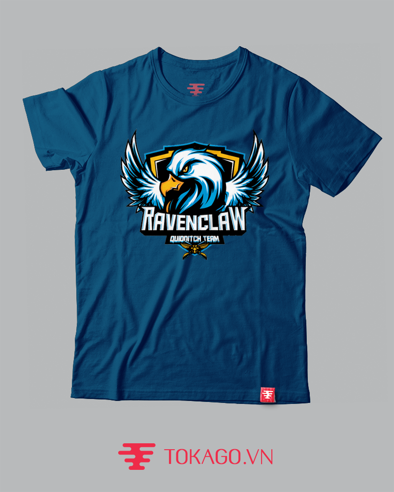 Quidditch Ravenclaw