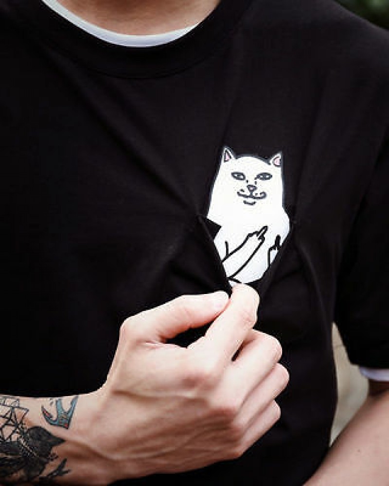 BAD CAT Tshirt 2